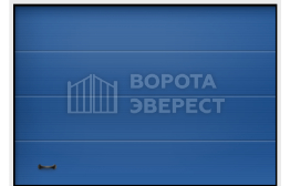 Противопожарные ворота распашные Дорхан 2000×3000 ВЭ-3958